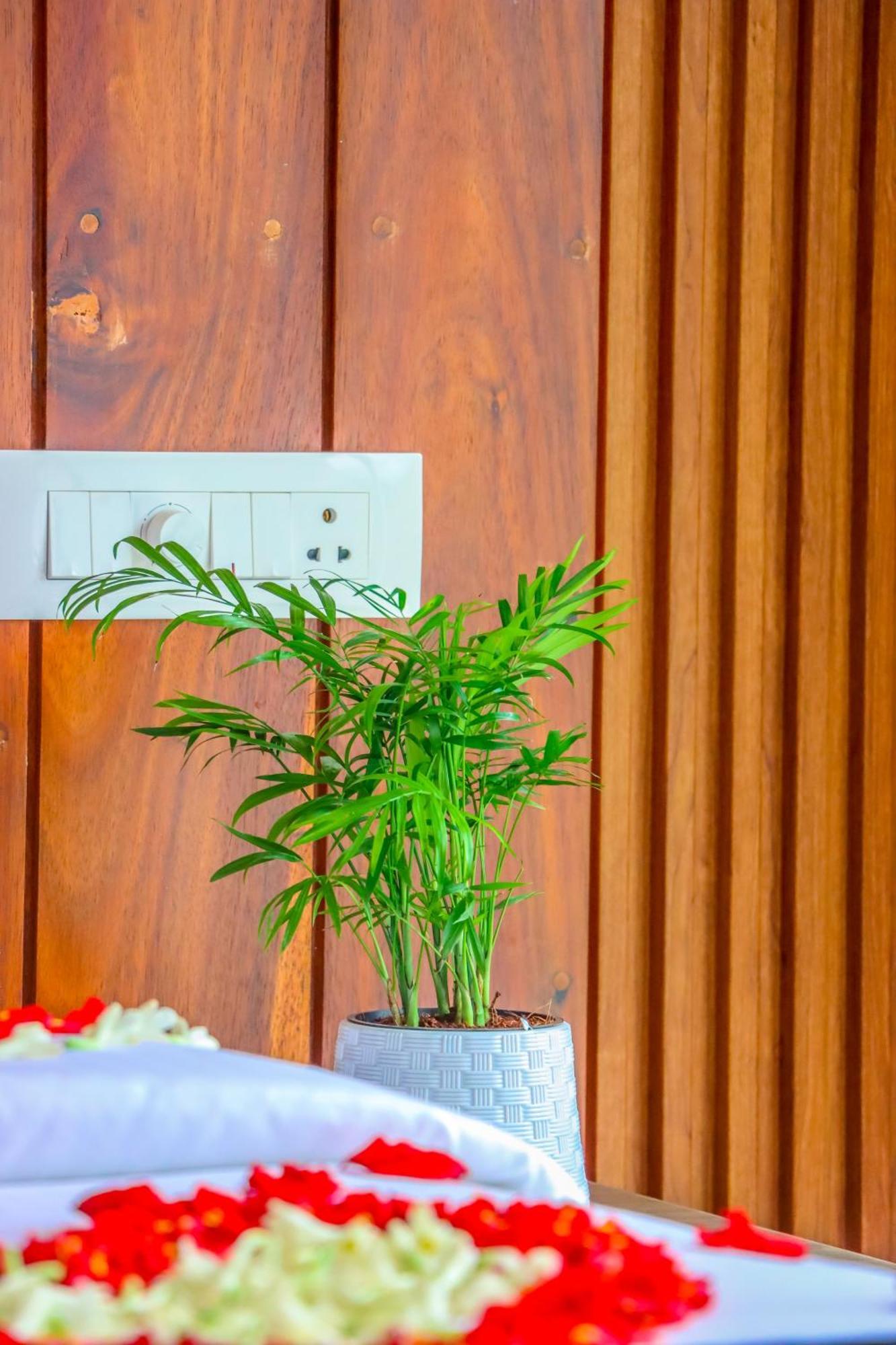 Winter Note Resorts Муннар Екстер'єр фото